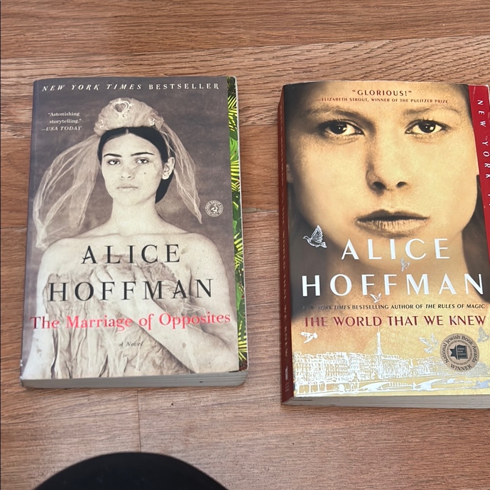 Alice Hoffman Book Set - The Marriage of Opposites & The World That We Knew